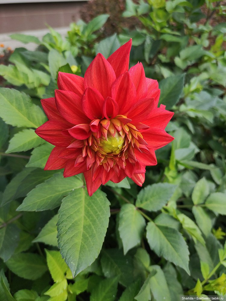 Выставка на Тишинке моими глазами. Что особенно тронуло и запомнилось…