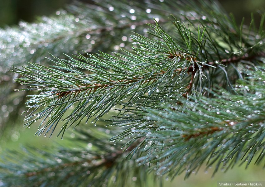 Незабываемые…3 часть заключительная