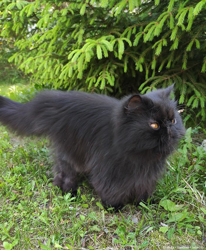 Незабываемые…3 часть заключительная