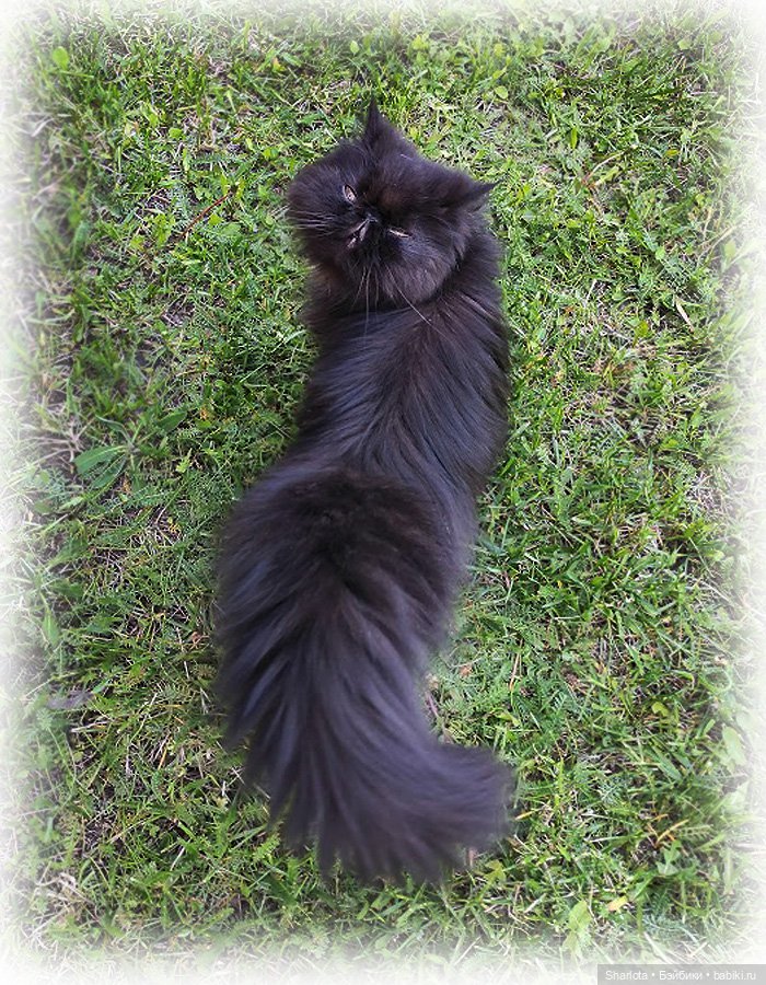 Незабываемые…3 часть заключительная