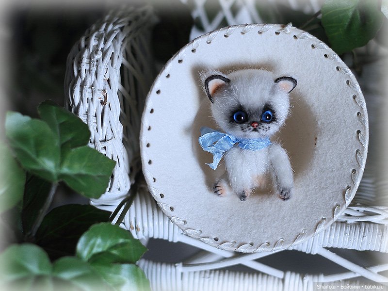 Француженка моя...или путь длиною в 9 лет (фото 8)