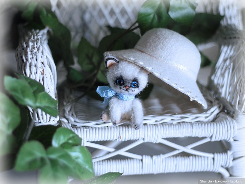 Француженка моя...или путь длиною в 9 лет