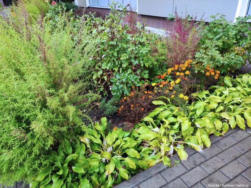 Выставка на Тишинке 2023 моими глазами | Бэйбики Выставка на Тишинке 2023 моими глазами (фото 3)