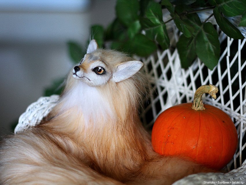 По имени Осень | Бэйбики По имени Осень — Куклы Iplehouse (Иплхаус): BJD (БЖД)