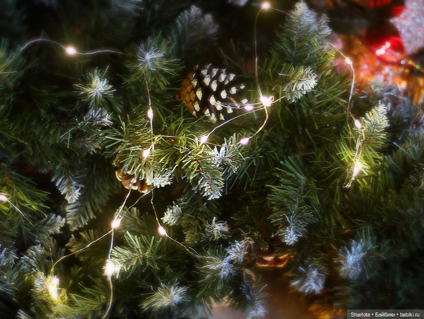 Поди туда - не знаю куда. Принеси то – не знаю что. Микки или поиски по кошачьи