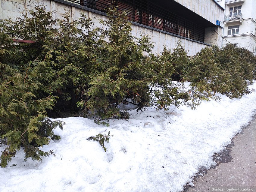 Выставка на Тишинке 2024 моими глазами (фото 2)