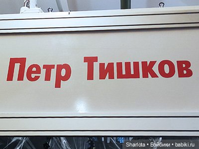 Выставка на Тишинке 2024 моими глазами 3 часть (фото 6)