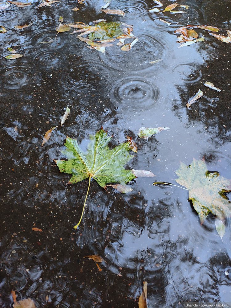 Осенний Бал кукол 2024 на Тишинке моими глазами | Бэйбики Осенний Бал кукол 2024 на Тишинке моими глазами (фото 4)