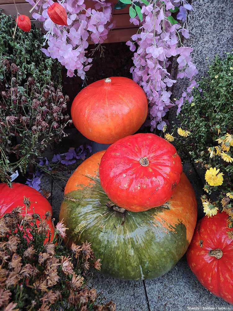 Осенний Бал кукол на Тишинке моими глазами. Финальная часть