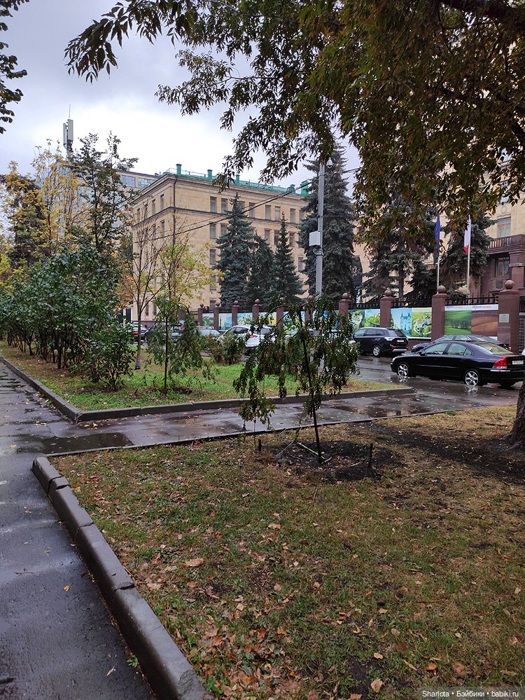 Осенний Бал кукол на Тишинке моими глазами. Финальная часть