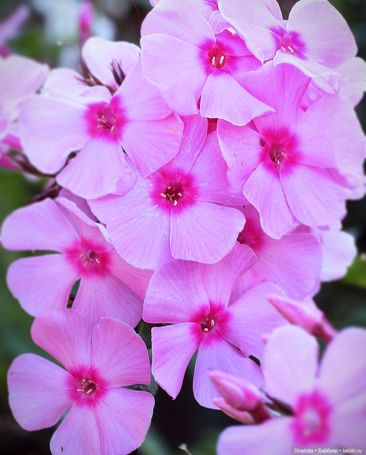 Всё в жизни когда-то случается в первый раз