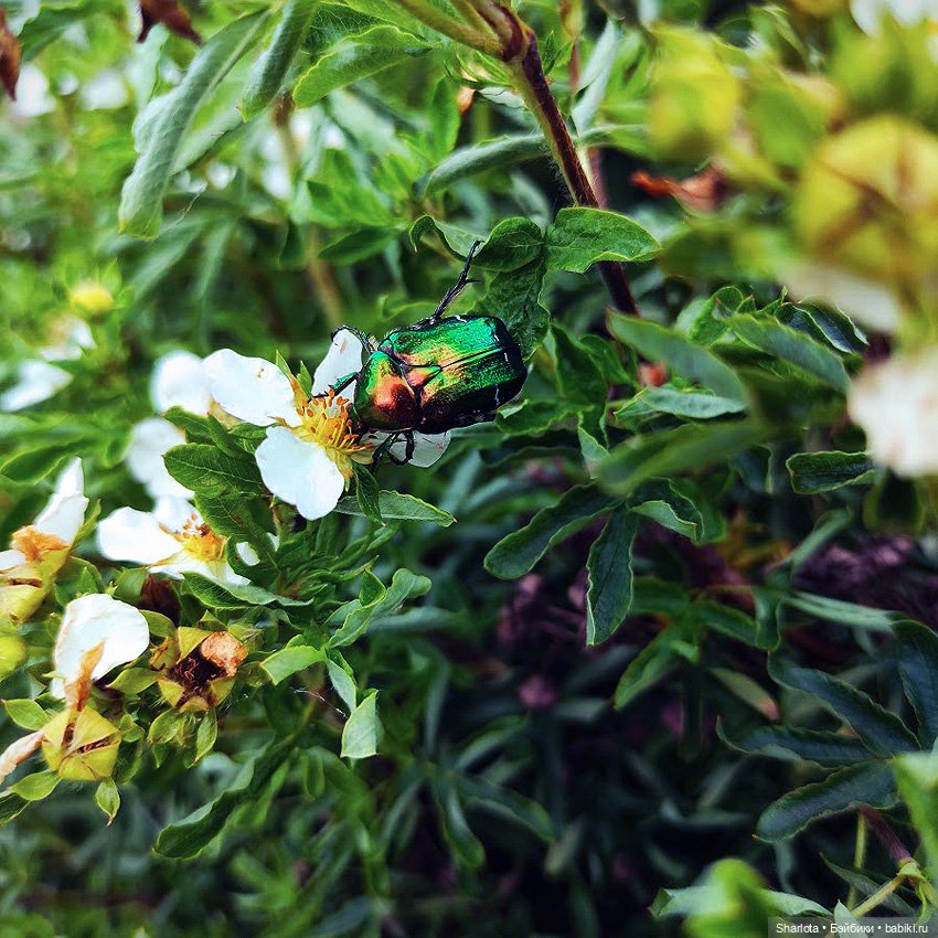 Всё в жизни когда-то случается в первый раз