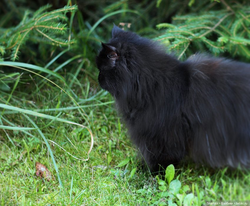 Всё в жизни когда-то случается в первый раз