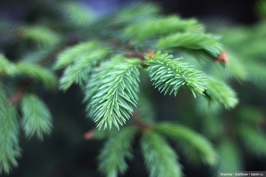 Всё в жизни когда-то случается в первый раз