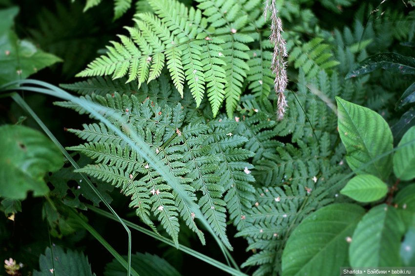 Всё в жизни когда-то случается в первый раз