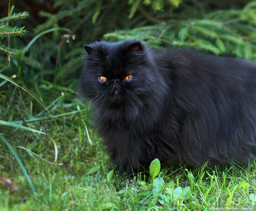 Всё в жизни когда-то случается в первый раз