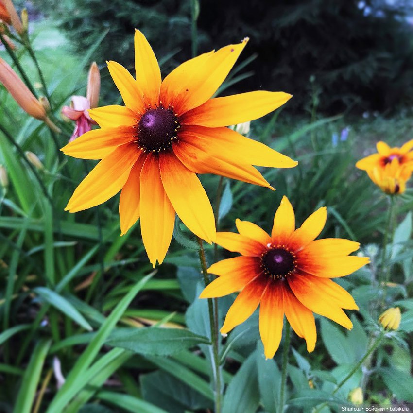 Всё в жизни когда-то случается в первый раз