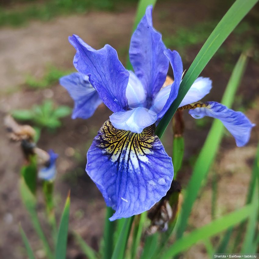 Всё в жизни когда-то случается в первый раз