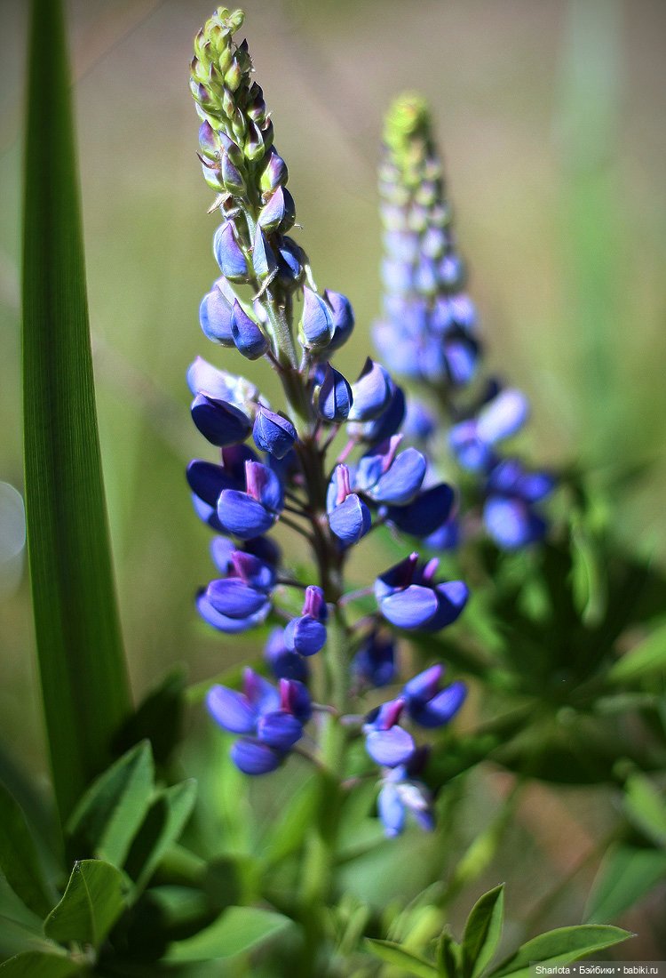 Всё в жизни когда-то случается в первый раз