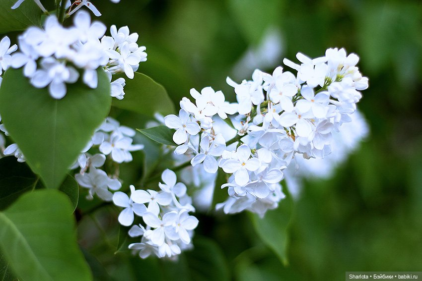 Всё в жизни когда-то случается в первый раз