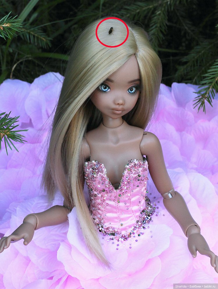 Всё в жизни когда-то случается в первый раз