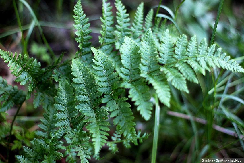 Всё в жизни когда-то случается в первый раз