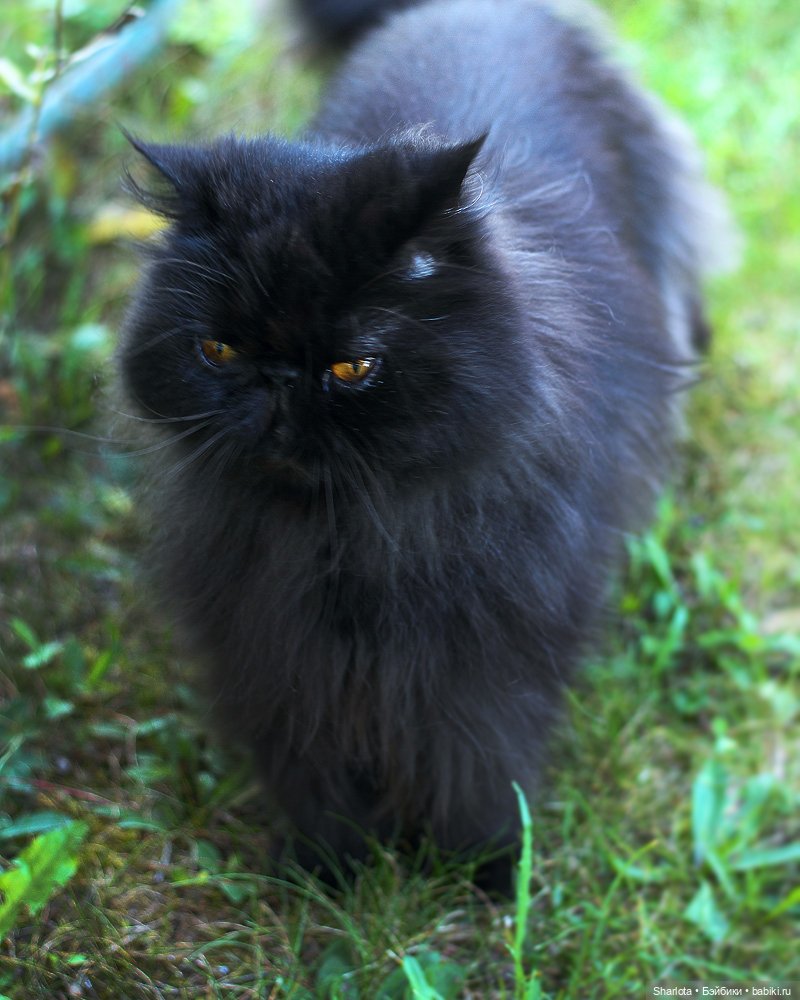 Всё в жизни когда-то случается в первый раз