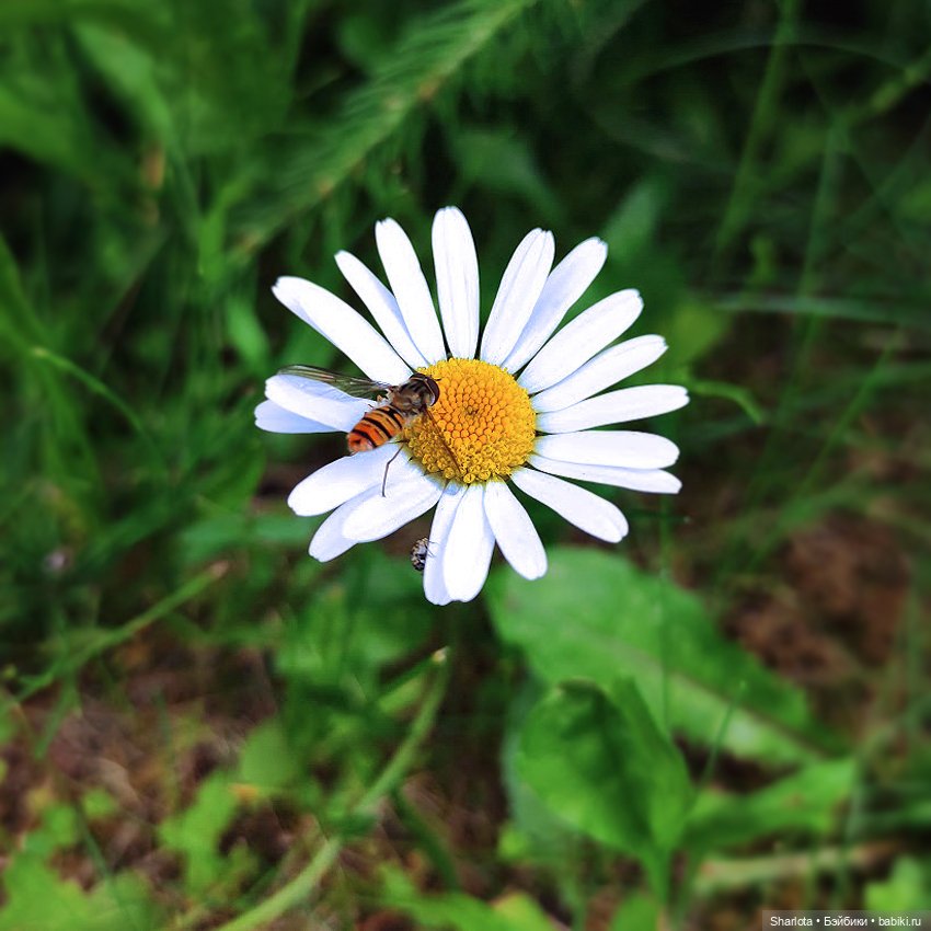 Всё в жизни когда-то случается в первый раз