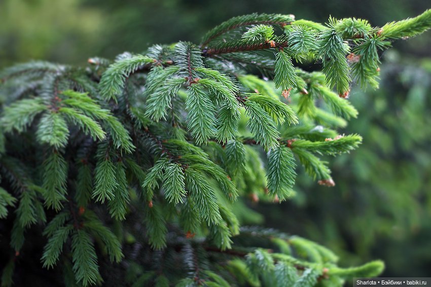 Всё в жизни когда-то случается в первый раз