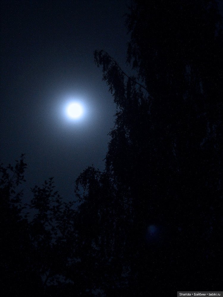 Как Бон-Бон звезду поймала. Загадывайте желание