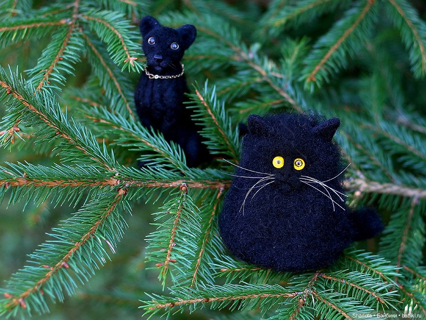 Как Бон-Бон звезду поймала. Загадывайте желание (фото 3)