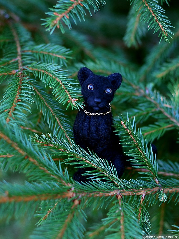 Как Бон-Бон звезду поймала. Загадывайте желание