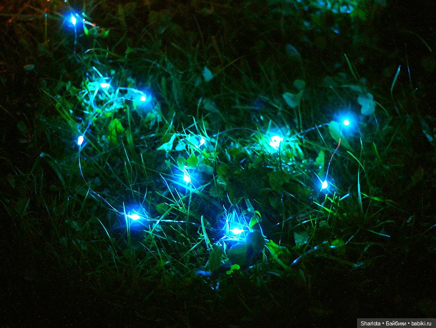 Как Бон-Бон звезду поймала. Загадывайте желание