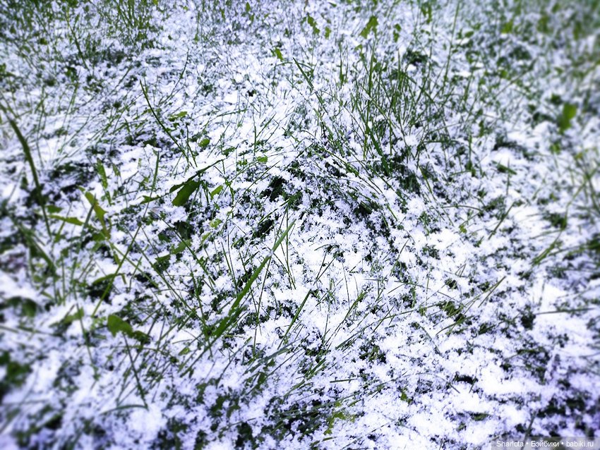 Быль или небыль — Куклы Atelier Momoni (Момони): авторские BJD (БЖД) (фото 3)