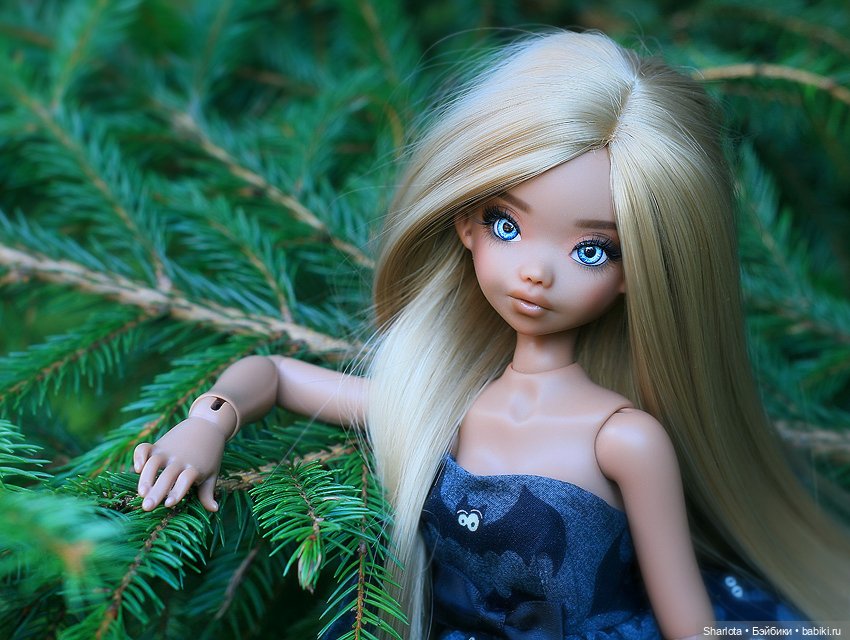 Быль или небыль — Куклы Atelier Momoni (Момони): авторские BJD (БЖД) (фото 10)