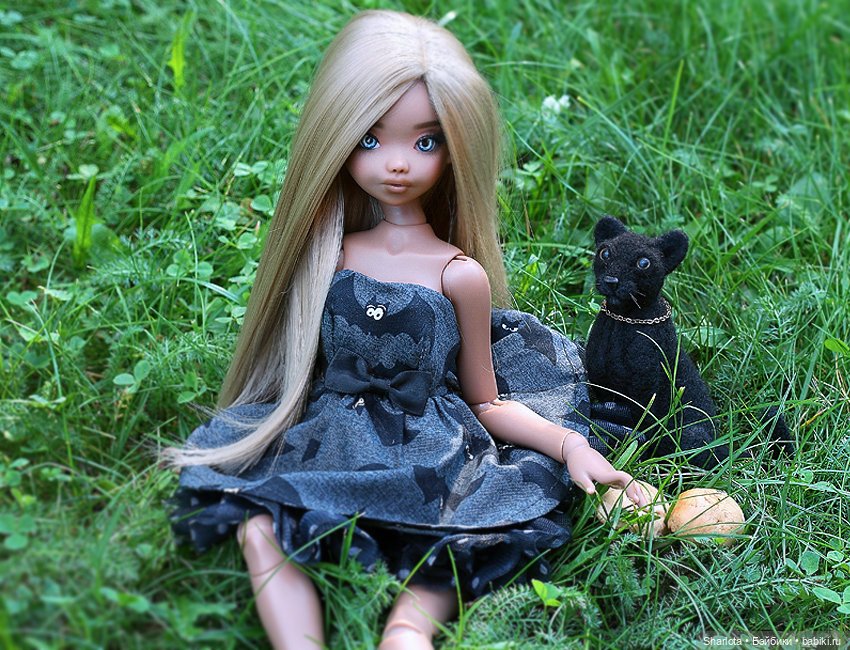 Про Бон-Бон, тыкву и козлов (фото 5)