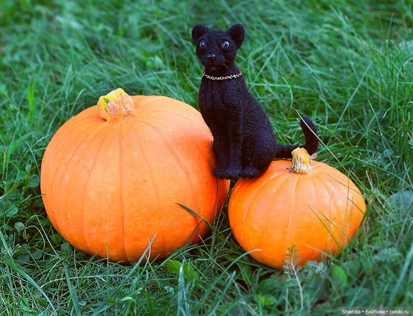 Про Бон-Бон, тыкву и козлов