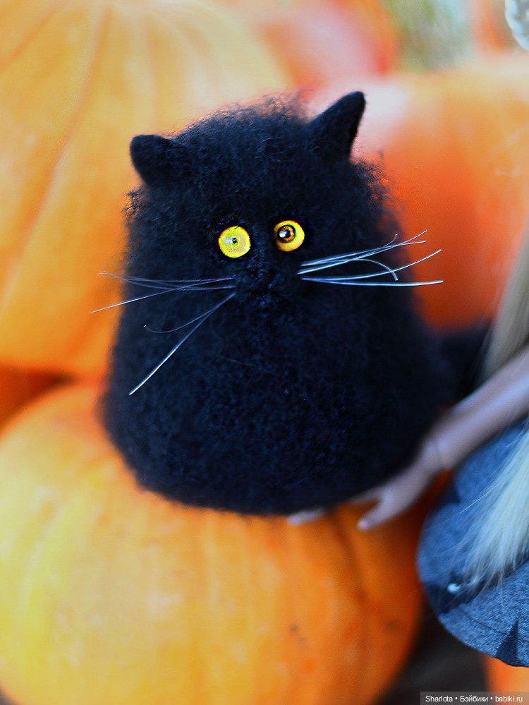 Про Бон-Бон, тыкву и козлов