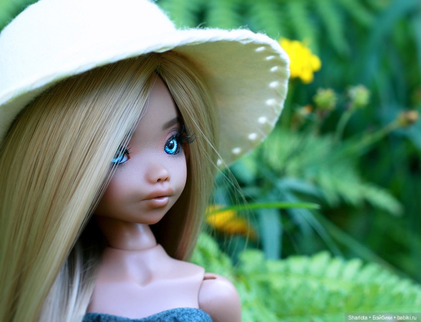 Про Бон-Бон, тыкву и козлов (фото 4)