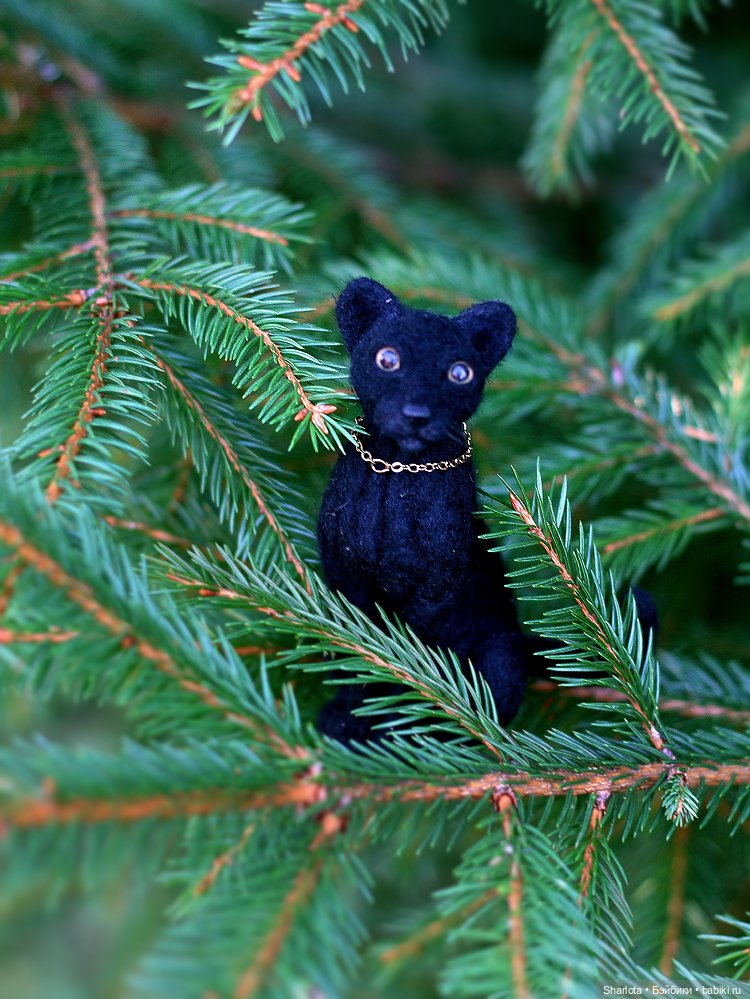 Про Бон-Бон, тыкву и козлов