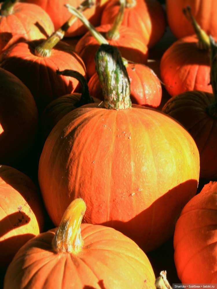 Про Бон-Бон, тыкву и козлов