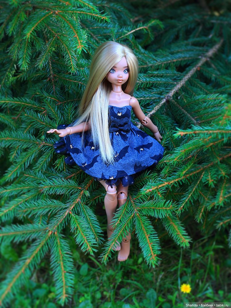 Про Бон-Бон, тыкву и козлов (фото 2)