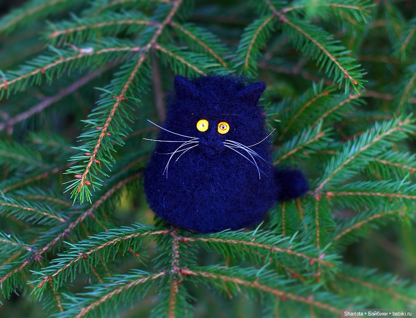 Про Бон-Бон, тыкву и козлов