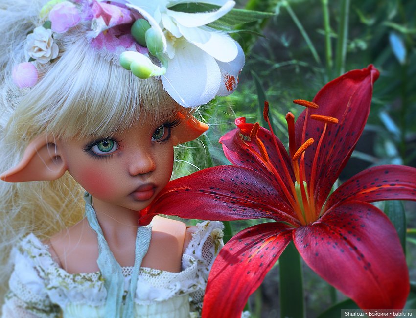 Лариска, Гном и немного лета