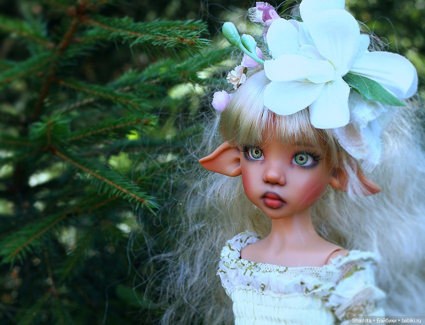 Лариска, Гном и немного лета