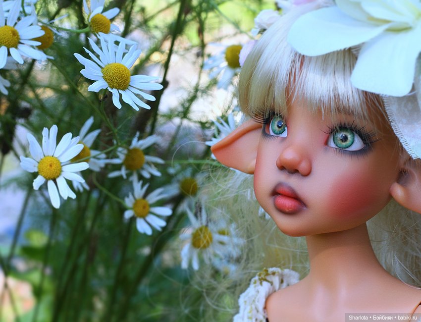 Лариска, Гном и немного лета