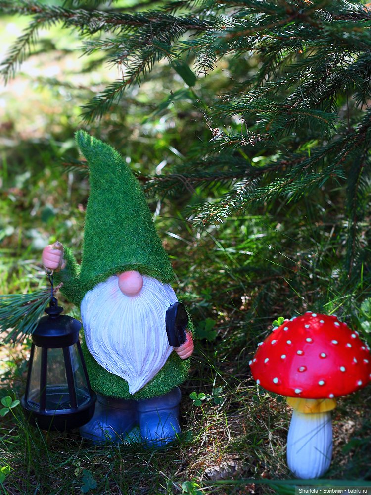 Лариска, Гном и немного лета