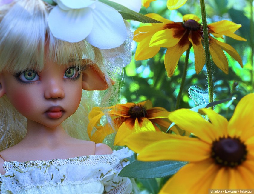 Лариска, Гном и немного лета