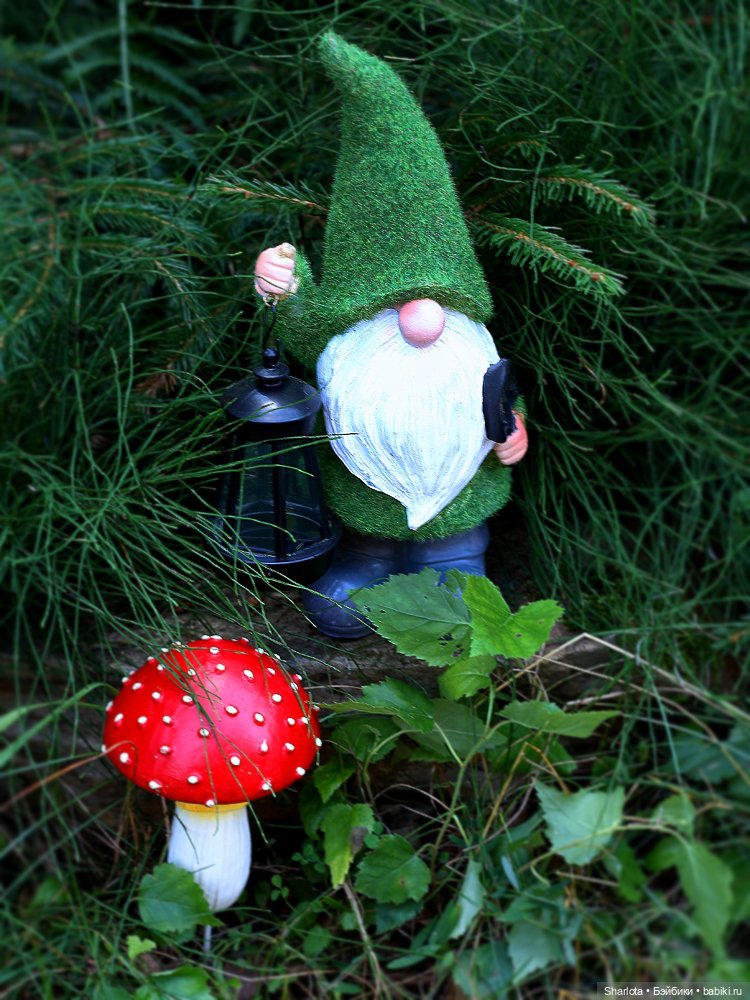 Лариска, Гном и немного лета