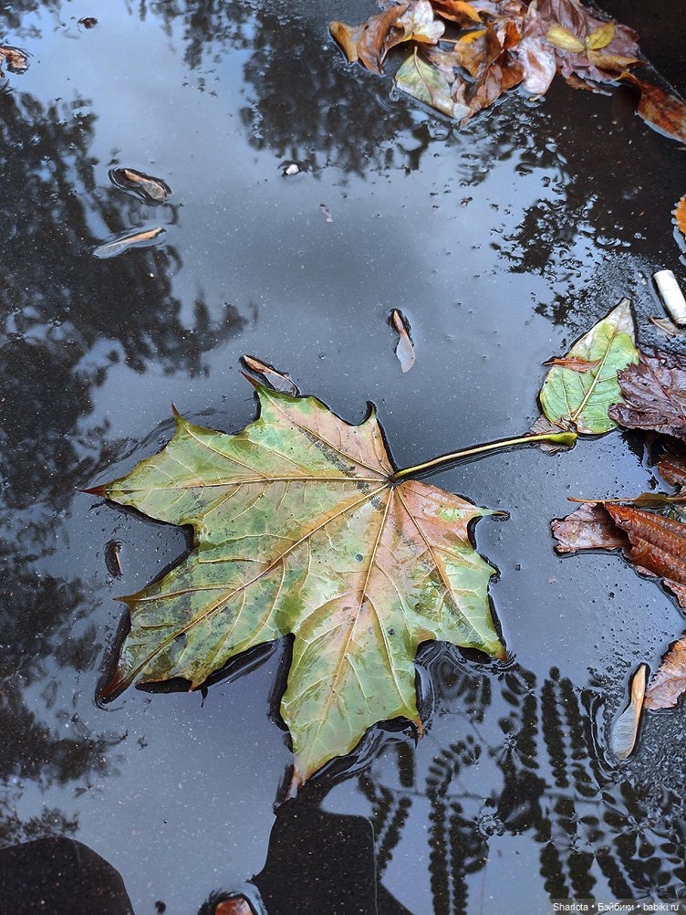 Лариска, Гном и немного лета (фото 2)